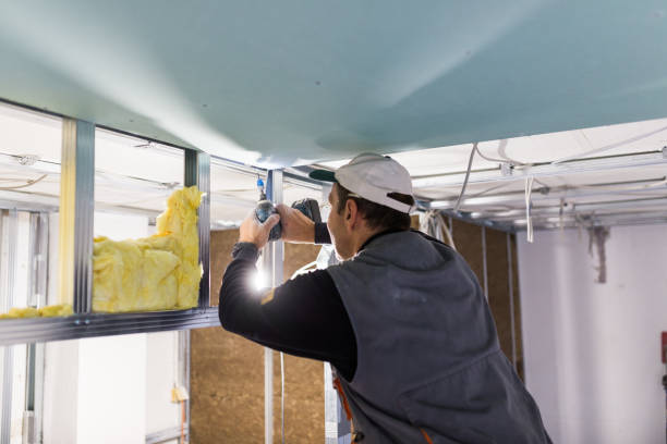 Best Insulation for New Construction  in Walls, MS
