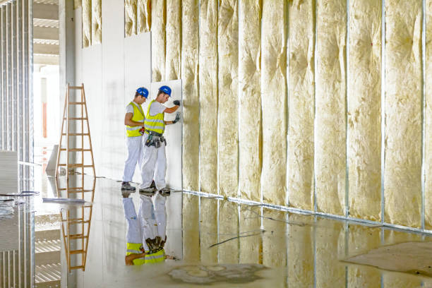 Best Energy-efficient Insulation  in Walls, MS